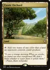 Product image for Exotic Orchard