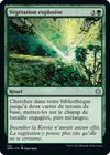 Product image for Végétation explosive