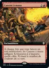 Product image for Canons à mana