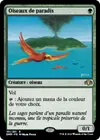 Product image for Oiseaux de paradis