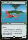 Product image for Birds of Paradise