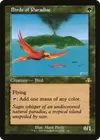 Product image for Birds of Paradise