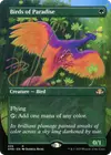 Product image for Birds of Paradise