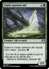 Product image for Guide spirituel elfe