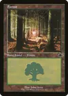 Product image for Forest
