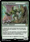 Product image for Ancien immémoré