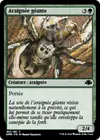 Product image for Araignée géante