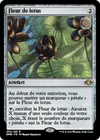Product image for Fleur de lotus