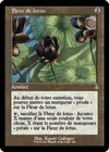 Product image for Fleur de lotus