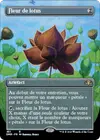 Product image for Fleur de lotus