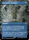 Product image for Préceptrice mystique