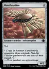 Product image for Ornithoptère