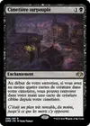 Product image for Cimetière surpeuplé