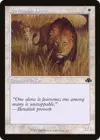 Product image for Savannah Lions