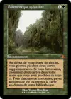 Product image for Bibliothèque sylvestre