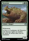 Product image for Terravore