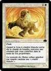 Product image for Lion à crinière blanche