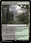 Product image for Cimetière des sylves