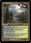 Product image for Cimetière des sylves