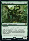 Product image for Hydre de bruyère
