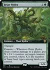 Product image for Briar Hydra