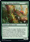 Product image for Mur de vignes florifères