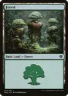 Product image for Forest