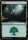 Product image for Forest