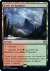 Product image for Forêt de Karpluse