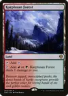 Product image for Karplusan Forest