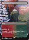 Product image for Karplusan Forest