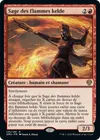 Product image for Sage des flammes kelde