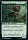 Product image for Pisteuse de Llanowar