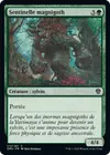 Product image for Sentinelle magnigoth
