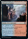Product image for Chenal en fusion
