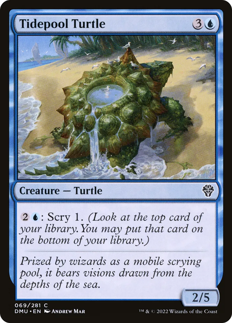 Tortue intercotidale — Dominaria United — Magic: The Gathering
