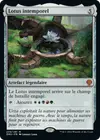 Product image for Lotus intemporel