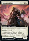 Product image for Vétéran vaillant