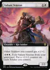 Product image for Valiant Veteran
