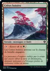 Product image for Crêtes boisées