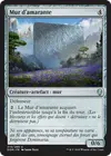 Product image for Mur d'amarante