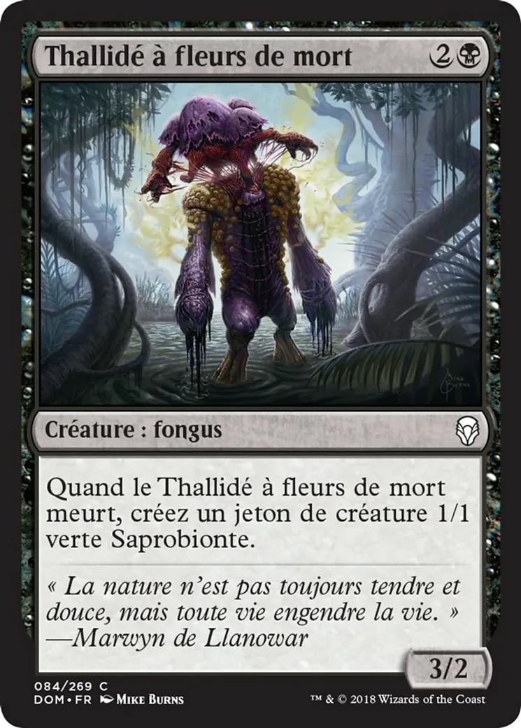 Thallidé à fleurs de mort — Dominaria — Magic: The Gathering