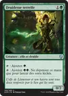 Product image for Druidesse terrelfe