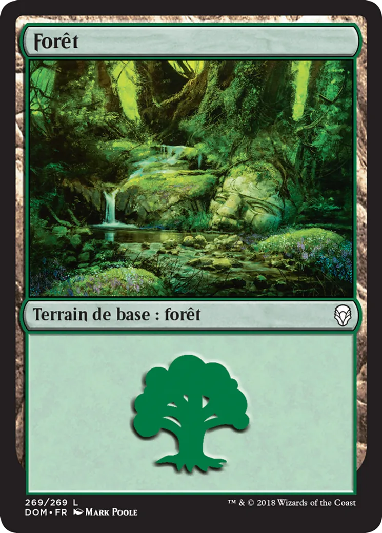 Forêt — Dominaria — Magic: The Gathering