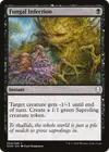 Product image for Fungal Infection