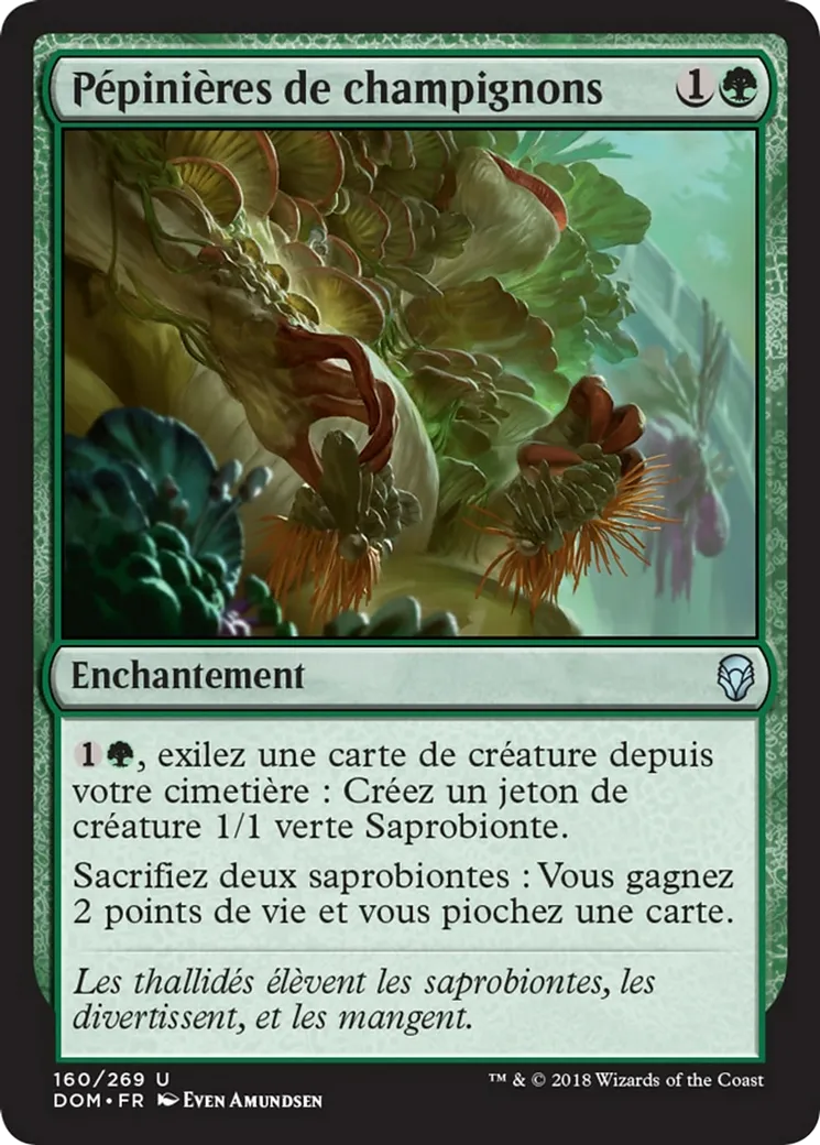 Pépinières de champignons — Dominaria — Magic: The Gathering