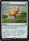 Product image for Lotus doré