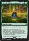 Product image for Vœu druidique de Kamahl