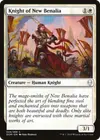 Product image for Knight of New Benalia