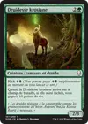 Product image for Druidesse krosiane